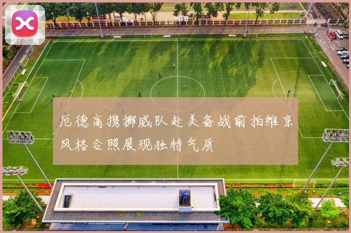 厄德高携挪威队赴美备战前拍维京风格合照展现独特气质